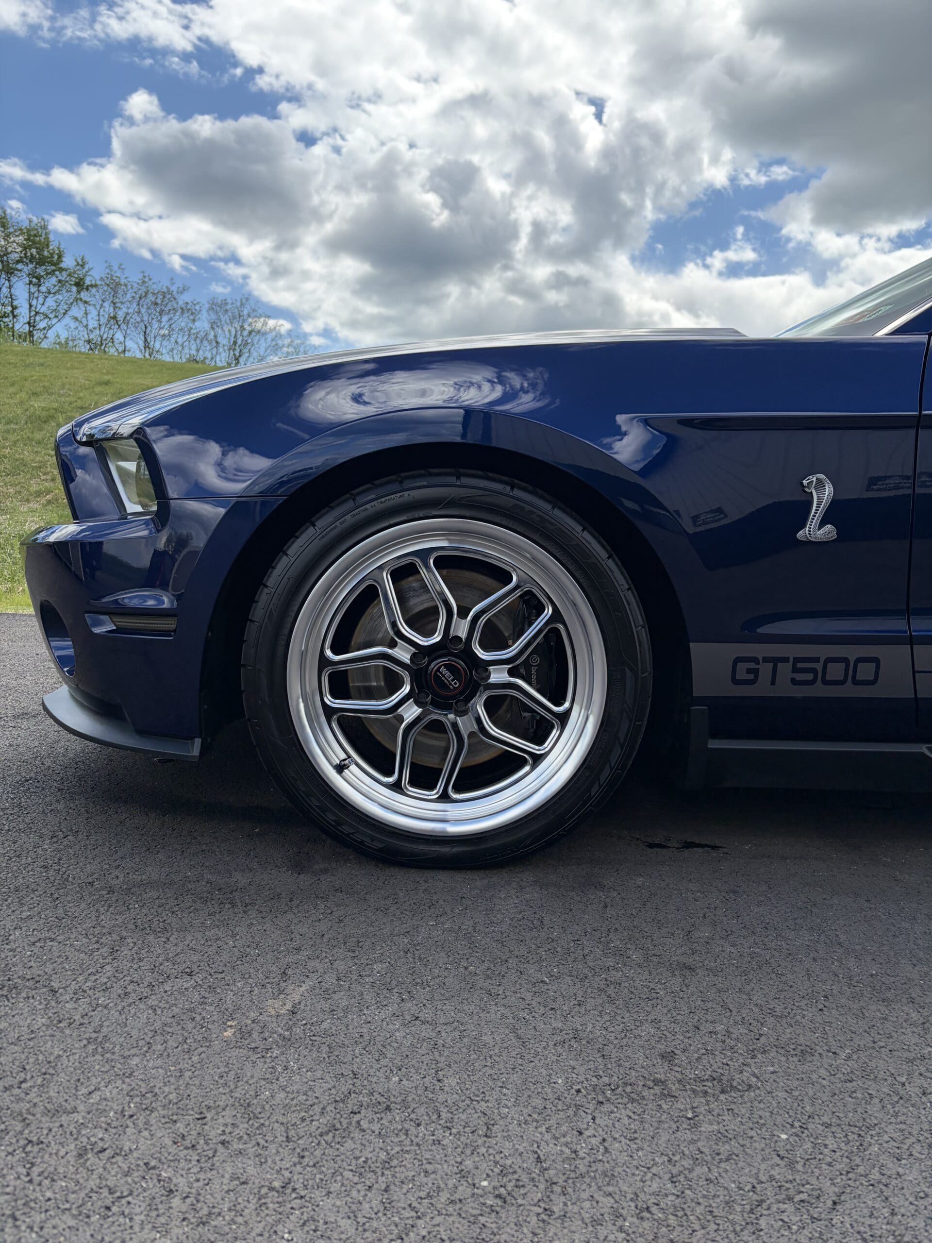 Ceramic coated Mustang GT500